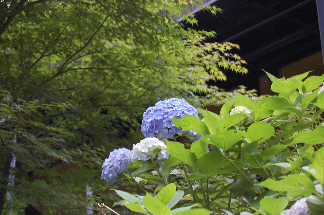Kunihiro Yashiki Hotel Nasu Exterior photo